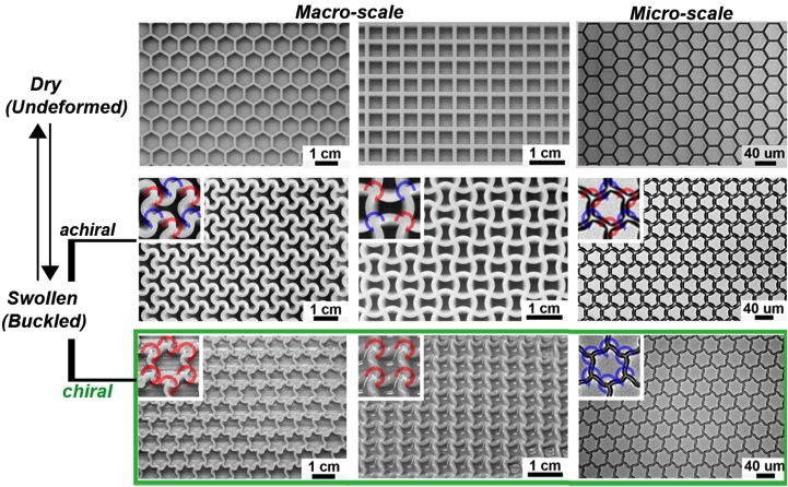 Fig. 5. Demonstration of reversible achiral and chiral pattern formation over different length scales, geometries, and materials. The color-coded arrows in the insets indicate the handedness of vertices.  